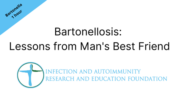 Comparative Medical Observations Relative to Bartonellosis in Dogs and Humans