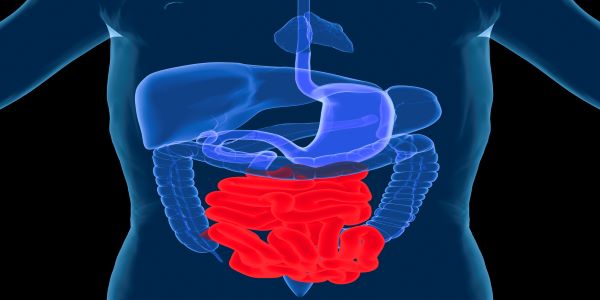 Autoimmune Diseases and the Gastrointestinal System