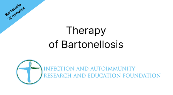 Therapy of Bartonellosis